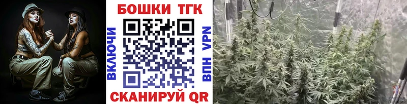 цена   Болхов  Бошки Шишки индика 